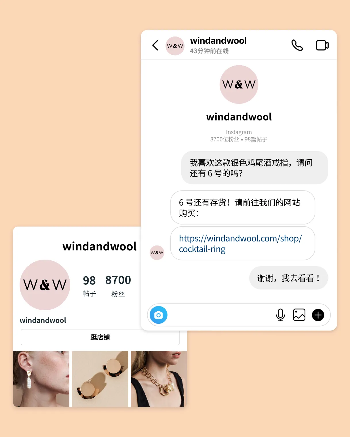Instagram 平台示例（购物）