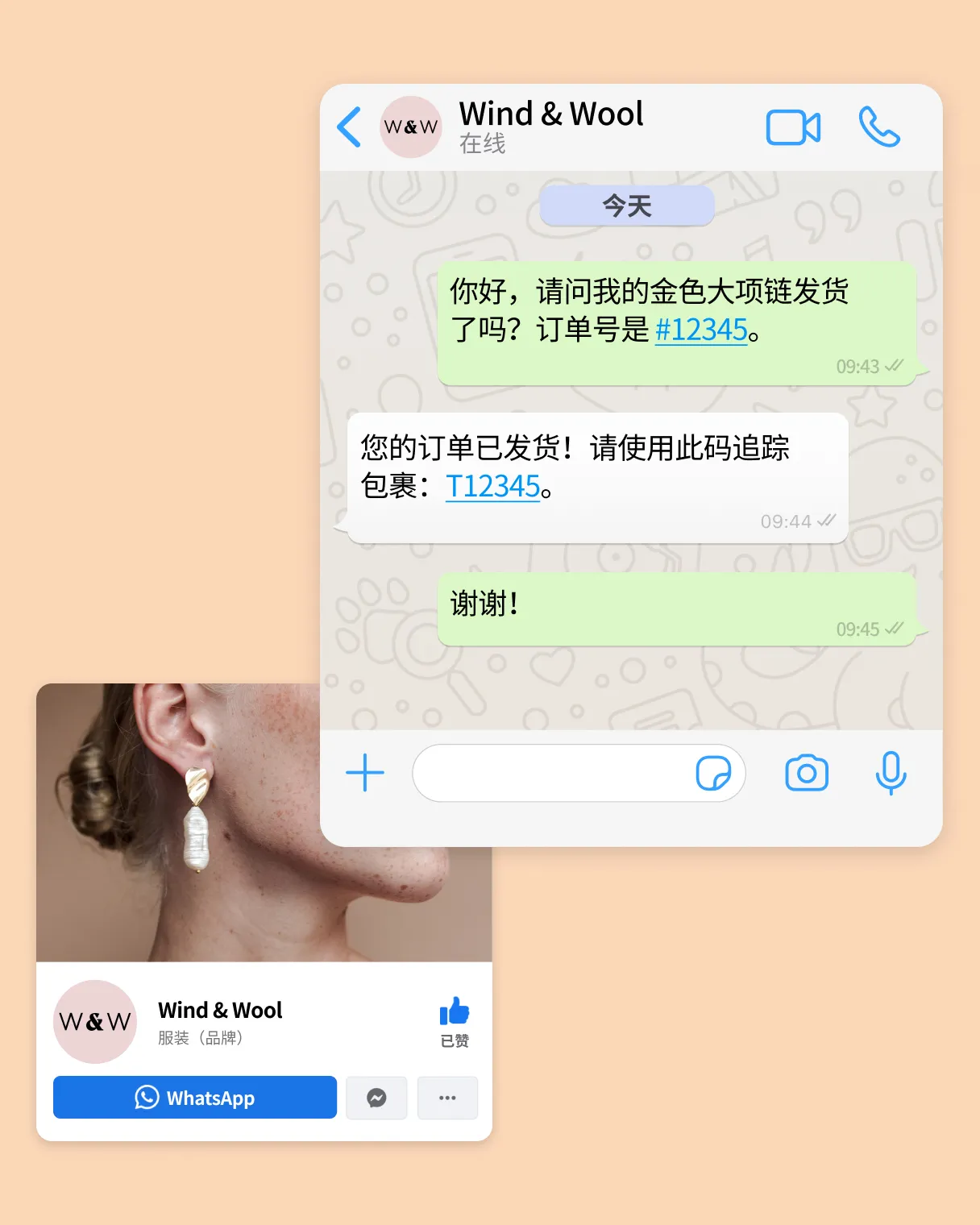 WhatsApp 平台示例